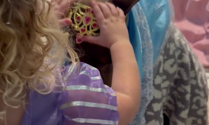 Doberman Princess Dress Up Party