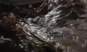 Flash Flooding in Juarez, Mexico