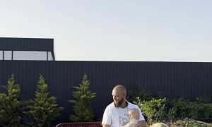 Golden Retrievers Collide With Kid