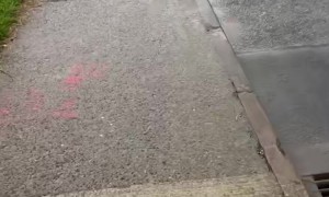 THERE GOES MY BUUUUUUUSSSSS