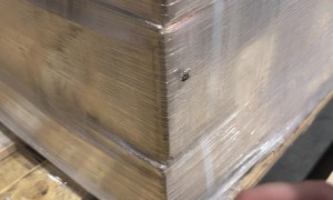 Alternative Way to Catch a Fly