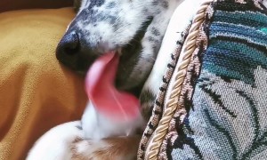 How He Beats the Heat