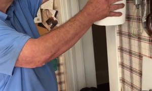 Dog Happily Waits For Old Paper Towel Roll