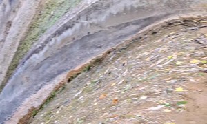 Kayaking at Lake Vida