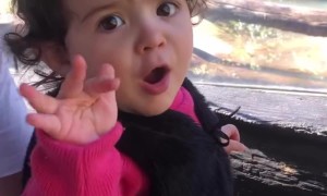 Cutest Jaguar at the Zoo