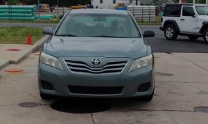 A Bossy Dog That Can Honk the Horn