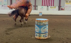 Barrel Racing T-Rex