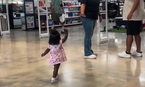 Toddler Giving Out High Fives