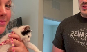 Mae Mae Has Testicles