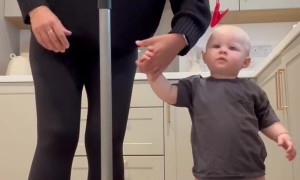 Happy Toddler on a Treadmill