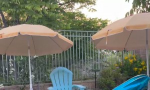 He Waited All Day for His Pawty...