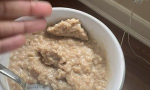Fly Buried By Fresh Oatmeal