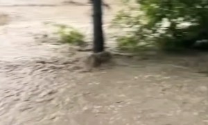 July Flooding in Petersburg, Virginia