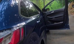 Man Calmly Coaxes Black Bear Out Of Car