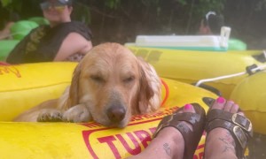 Downpour Ruins Golden's Tubing Trip