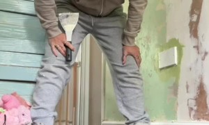 Dog Racetrack Disrupts Decorating