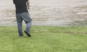 Fishing in a Flash Flood