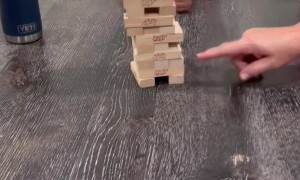 Doodle Wants a Turn at Jenga