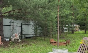 The Fox Treated the Cat to Breakfast