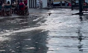 Venice Streets Sink Into Sea During High Tide