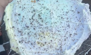 He's a Visual Learner