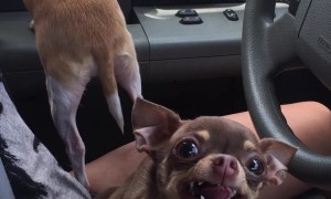 Lupita Does Not Like Being Filmed