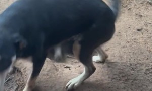 Cramped Accommodations Makes for a Disappointing Jet2 Holiday