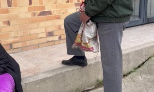 A Tale of Two Kitties