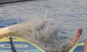 How Not to Drown an iPhone the Terminator Technique