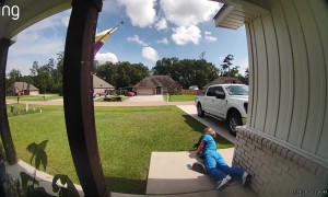 Puppies Make a Run for It