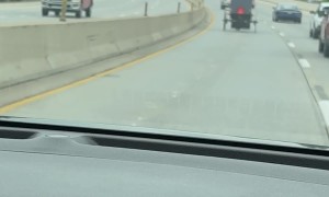 Horse And Buggy Take The Fast Lane