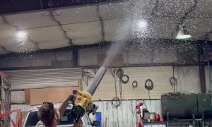 Pest Control Sprayed Through Leaf Blower