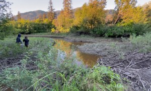 Boat Fails to Jump Beaver Dam