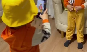 Twin Toddlers' Photo Session Takes a Turn