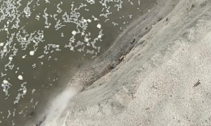Sand Wall Sinking In Slow Motion