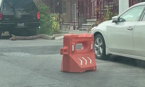 Traffic Barrier Politely Waits For Cars to Pass Before Crossing the Street