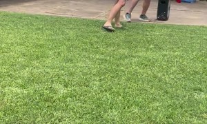 Party DJ Surprised With Proposal