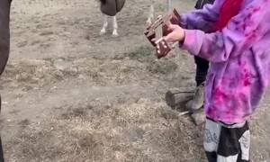Girl Teaches Horse to Play Ukulele