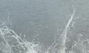 Moscow Influencer Falls Into Water