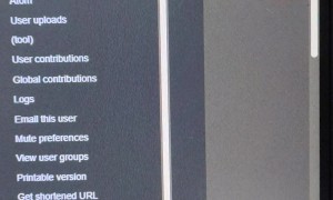 Gecko Chases Mouse Pointer