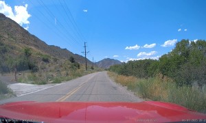 Deer Strike in Toyota Supra