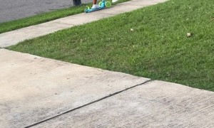 Swerve Bend That Corner