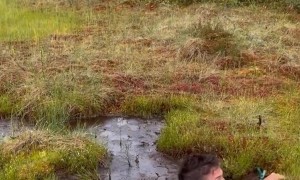 Swamp Jumps