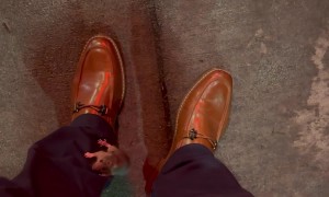 DC Rats Are Something Else