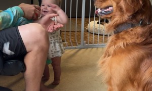 Baby Loves Playing With Her Dog
