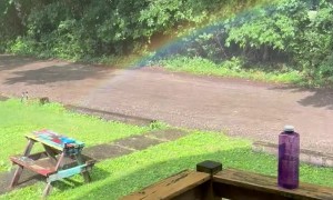 Sun Shower Spawns Mini Rainbow in Front Yard