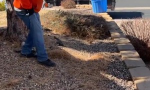 Boss Misses the Jump