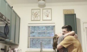 Golden Retriever Loves When Owners Hug