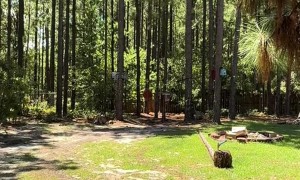 Impressive Long-Range Axe Throwing