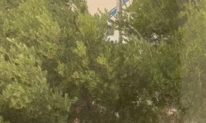 Cell Tower Workers Stuck In Swaying Crane During Dust Storm